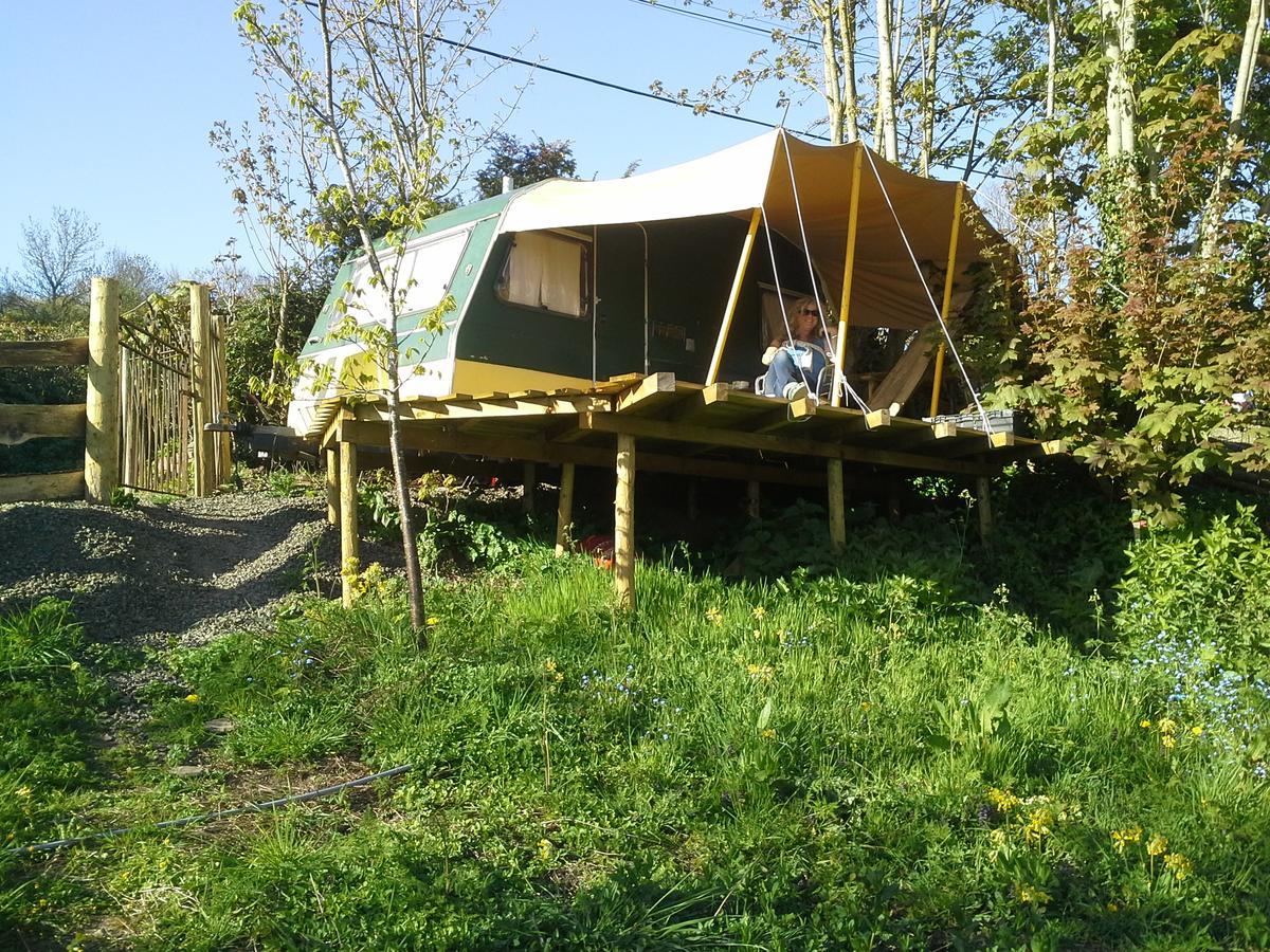 New Inn Brilley Whitney-on-Wye المظهر الخارجي الصورة
